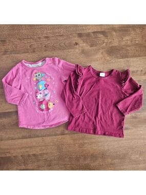 5/$25 Toddler Girls Long Sleeve Tops Pink Graphic & Burgundy Ruffle Size 2T